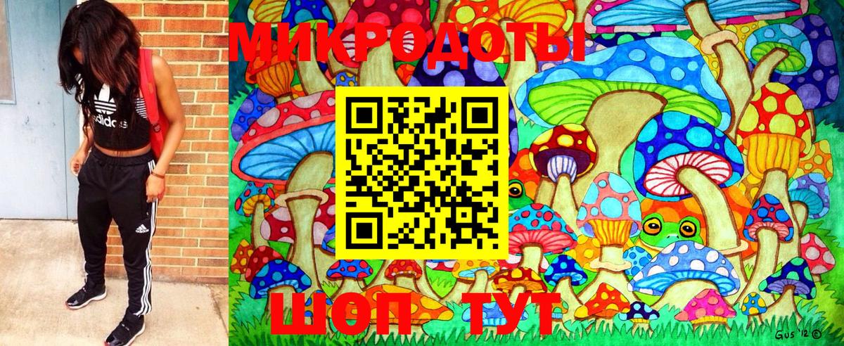 Будённовск  Галлюциногенные грибы Psilocybine cubensis  Вход с VPN 