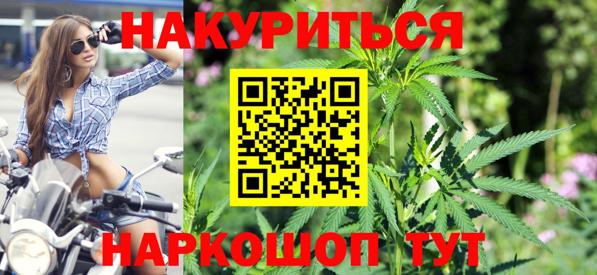 Конопля сатива  Марихуана Bruce Banner  Будённовск  Бошки марихуана семена  Вход с VPN 